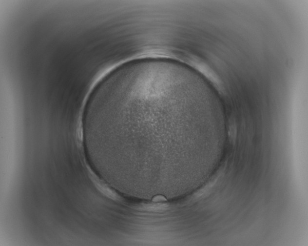 X0000113281372200909280943