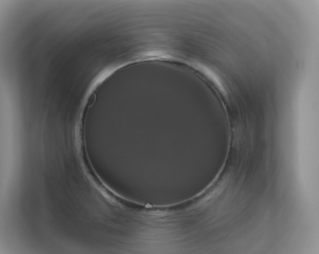 X0000113281373200909280943