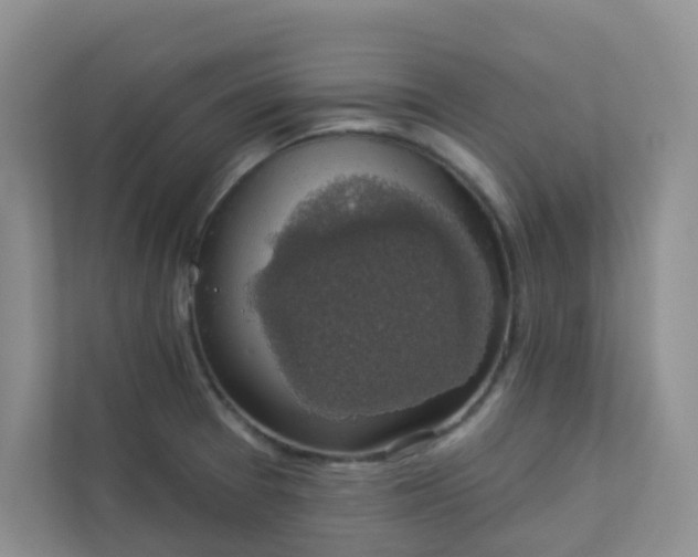 X0000113281377200909280943