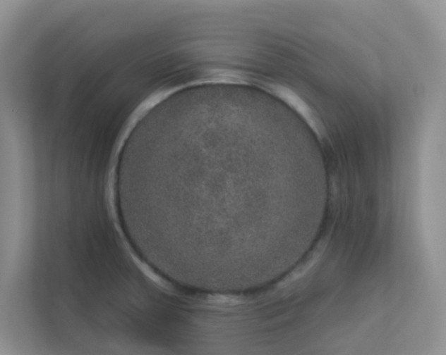 X0000113281379200909280943