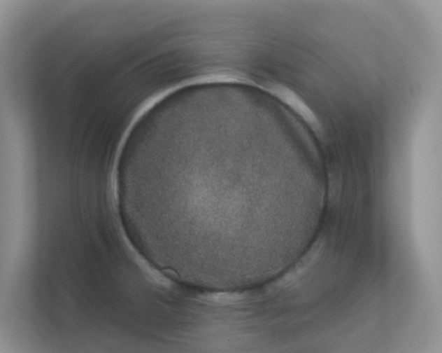 X0000113281380200909280943