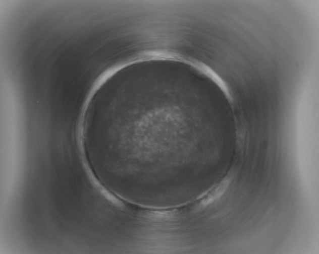 X0000113281381200909280943