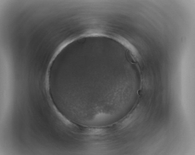 X0000113281382200909280943