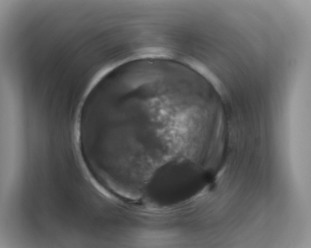 X0000113281383200909280943