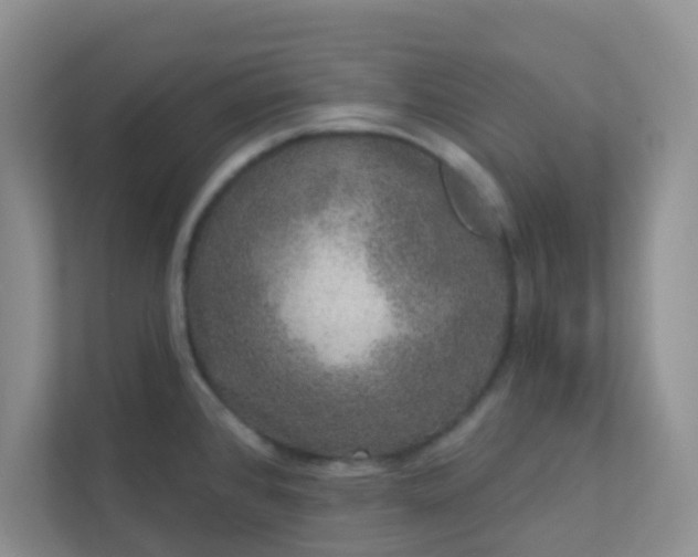 X0000113281384200909280943