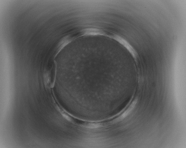 X0000113281385200909280943