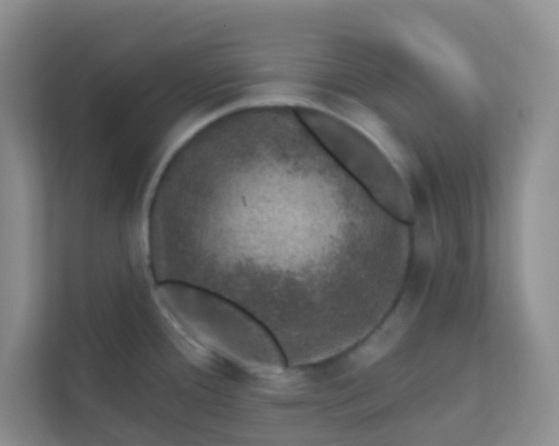 X0000113281388200909280943