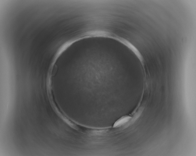 X0000113281389200909280943