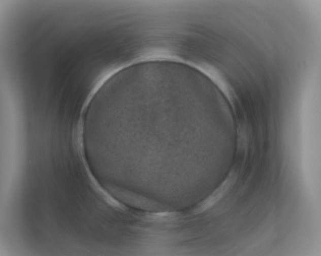 X0000113281390200909280943