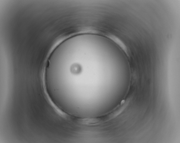 X0000113281391200909280943