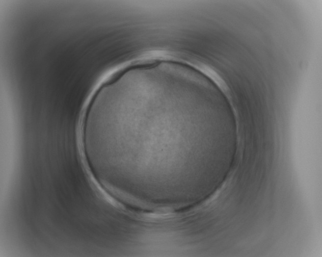 X0000113281392200909280943