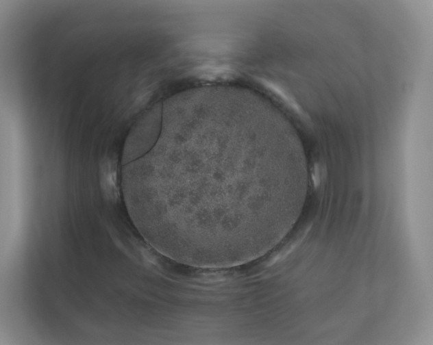 X0000113281396200909280942