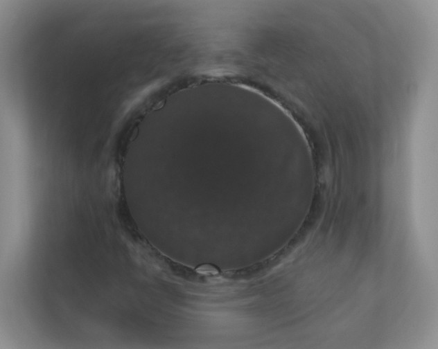 X0000113281398200909280942