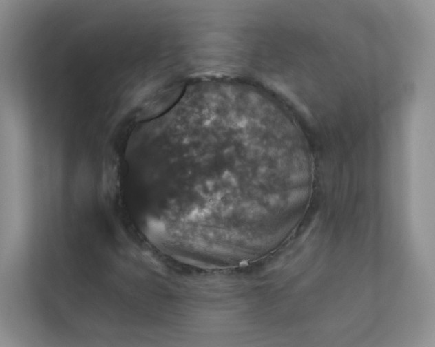 X0000113281399200909280942