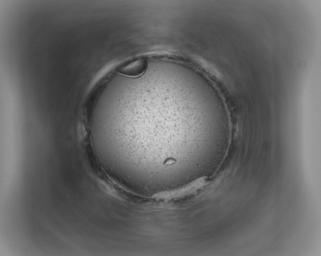 X0000113281400200909280942