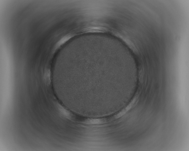 X0000113281402200909280942