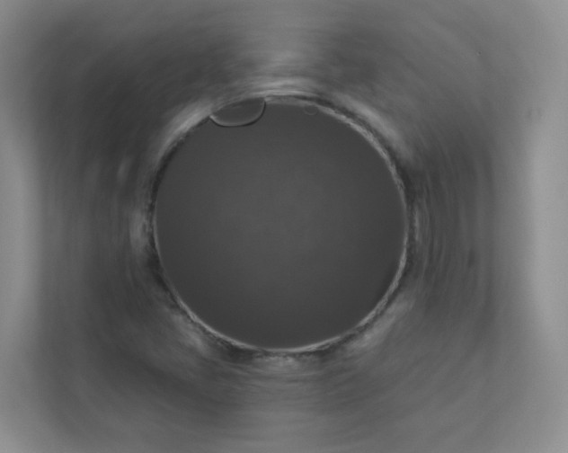 X0000113281405200909280943