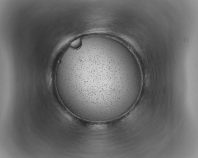 X0000113281406200909280943