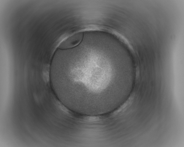 X0000113281409200909280943