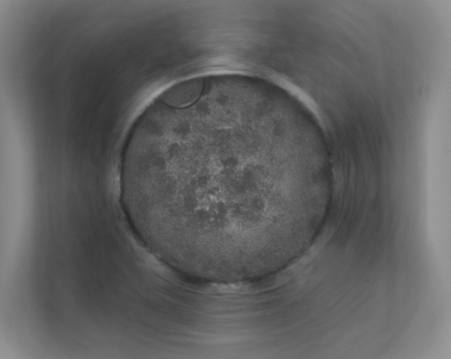 X0000113281415200909280943