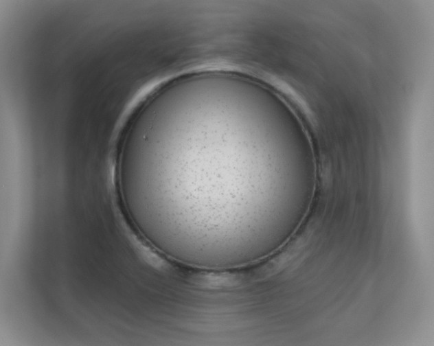 X0000113281416200909280943