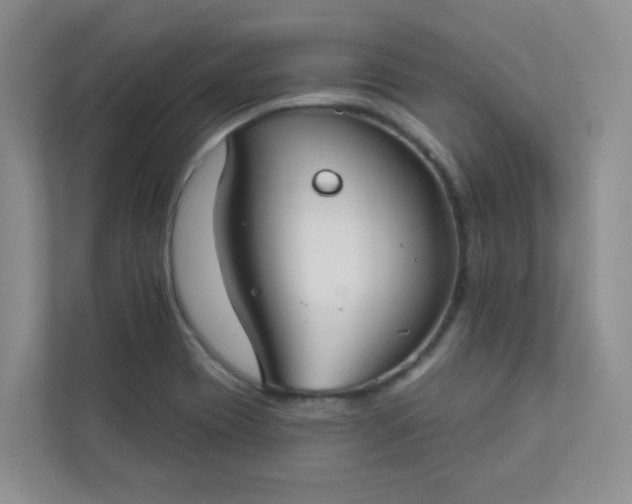 X0000113281417200909280943