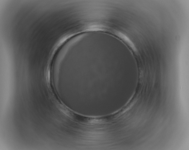 X0000113281419200909280943