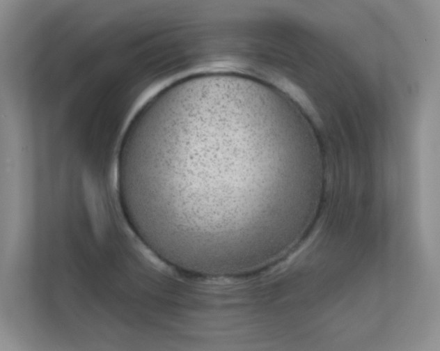 X0000113281420200909280943