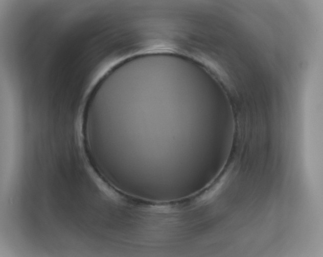 X0000113281422200909280943