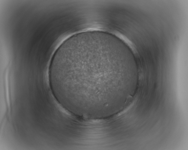 X0000113281423200909280943