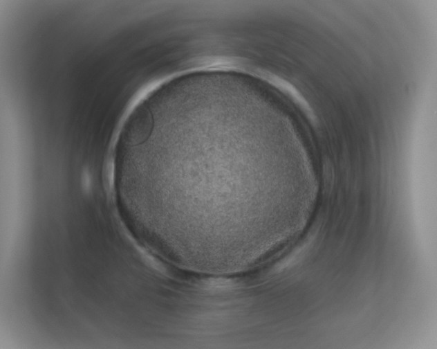 X0000113281424200909280943