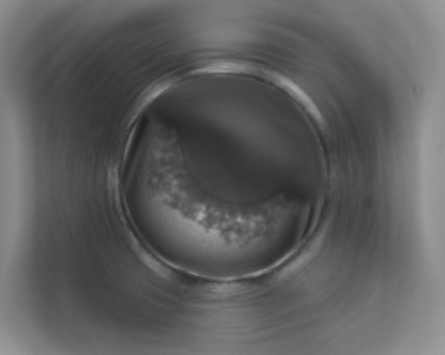 X0000113281425200909280943