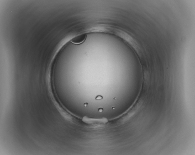 X0000113281426200909280943