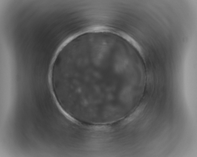 X0000113281429200909280943