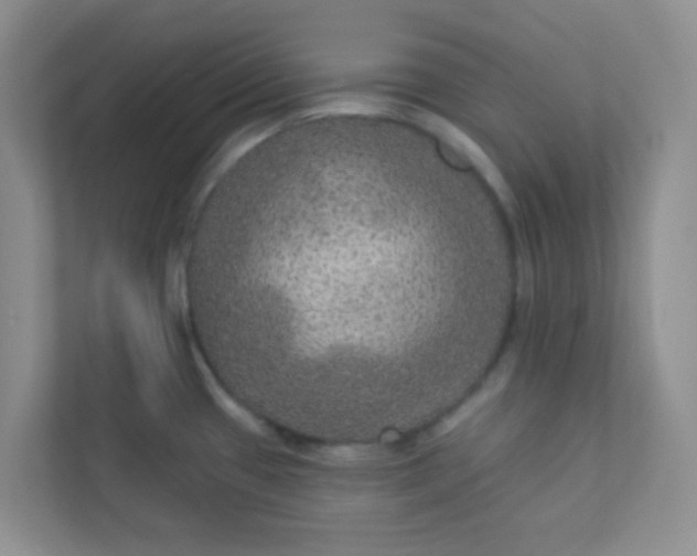 X0000113281433200909280943