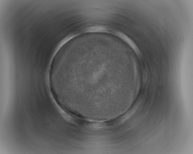 X0000113281434200909280943