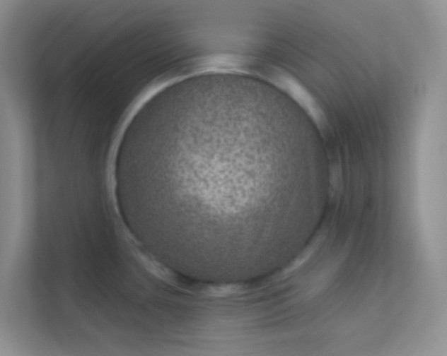 X0000113281435200909280943