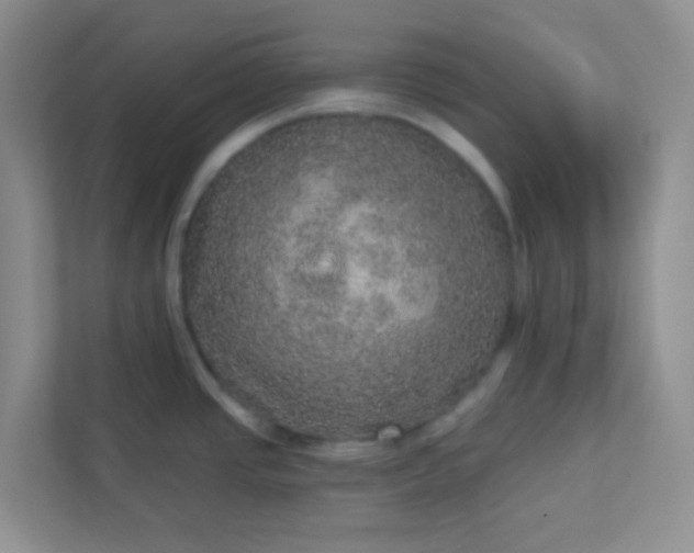 X0000113281437200909280943