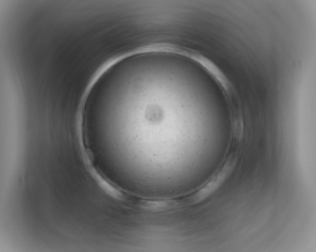 X0000113281438200909280943