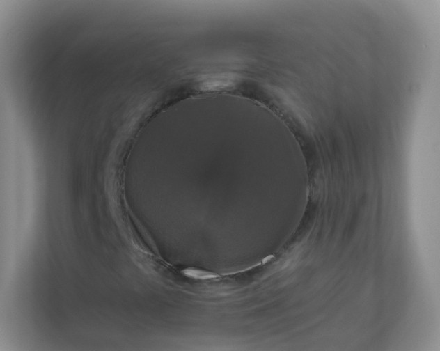 X0000113281441200909280942