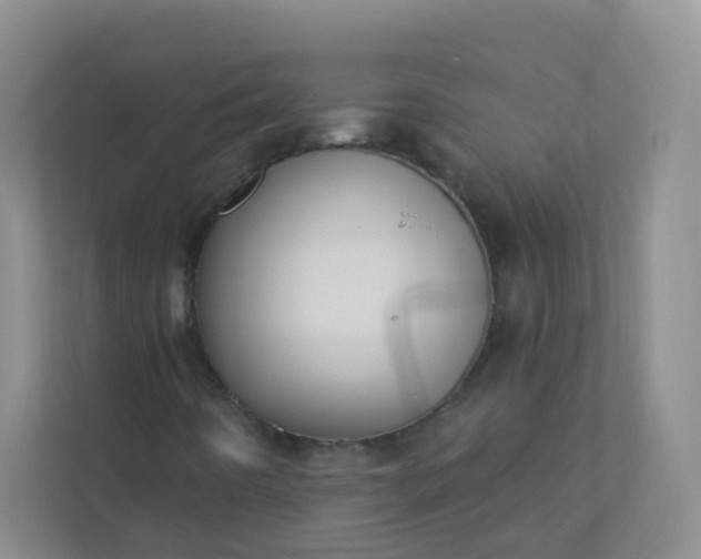 X0000113281442200909280942