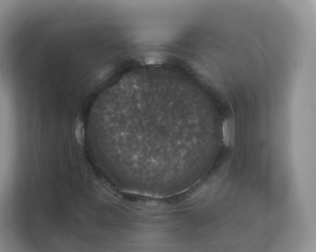 X0000113281443200909280942