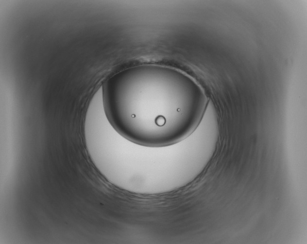 X0000113281444200909280942