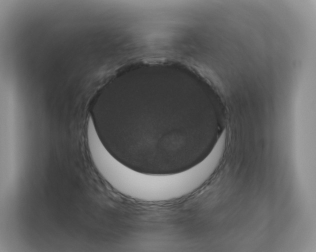 X0000113281445200909280942