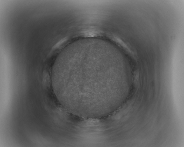 X0000113281446200909280942