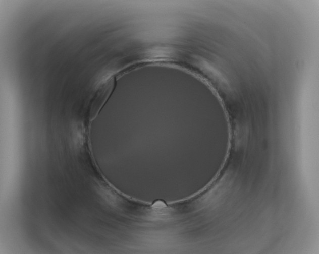 X0000113281449200909280942