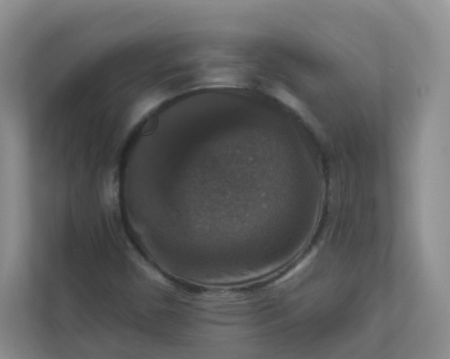 X0000113281450200909280942