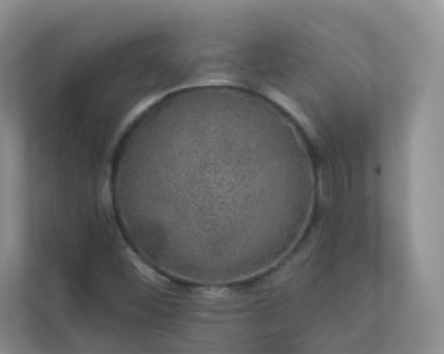 X0000113281452200909280942