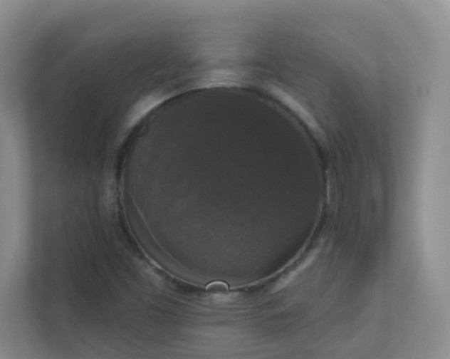 X0000113281453200909280942