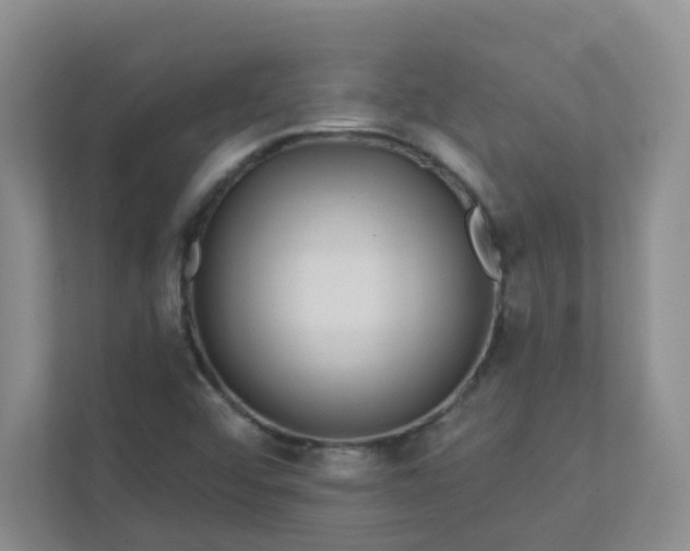 X0000113281456200909280942